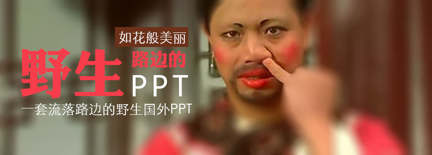 PPT模板|企業(yè)&商務：流落路邊的國外野生PPT